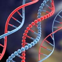 Gene Test To Help Stop Smoking Sign With Wildfire